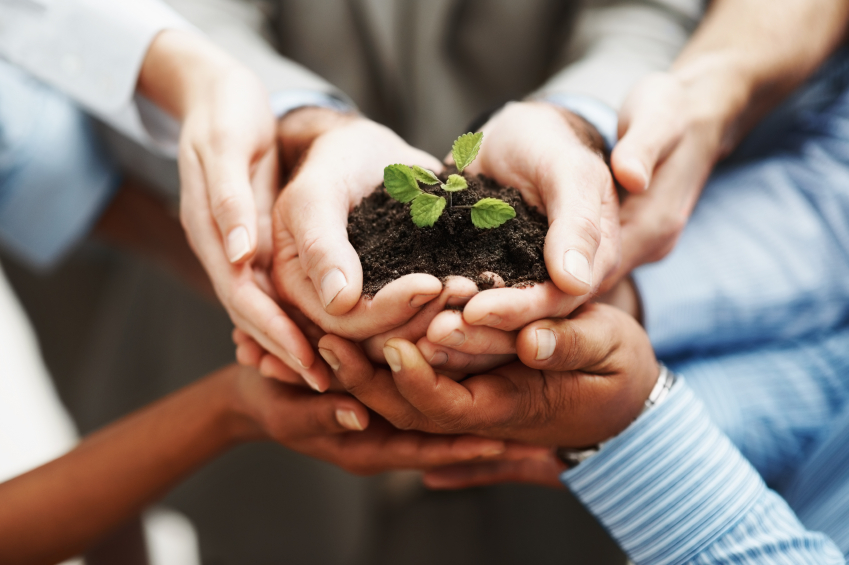 Business development - Closeup of hands holding seedling in a group